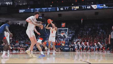 Directors VFX (After Effects)